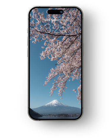 Cherry Blossoms - Mobile Wallpaper Pack - Vol 1